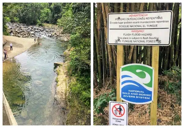 People swimming in a creek in El Yunque rainforest