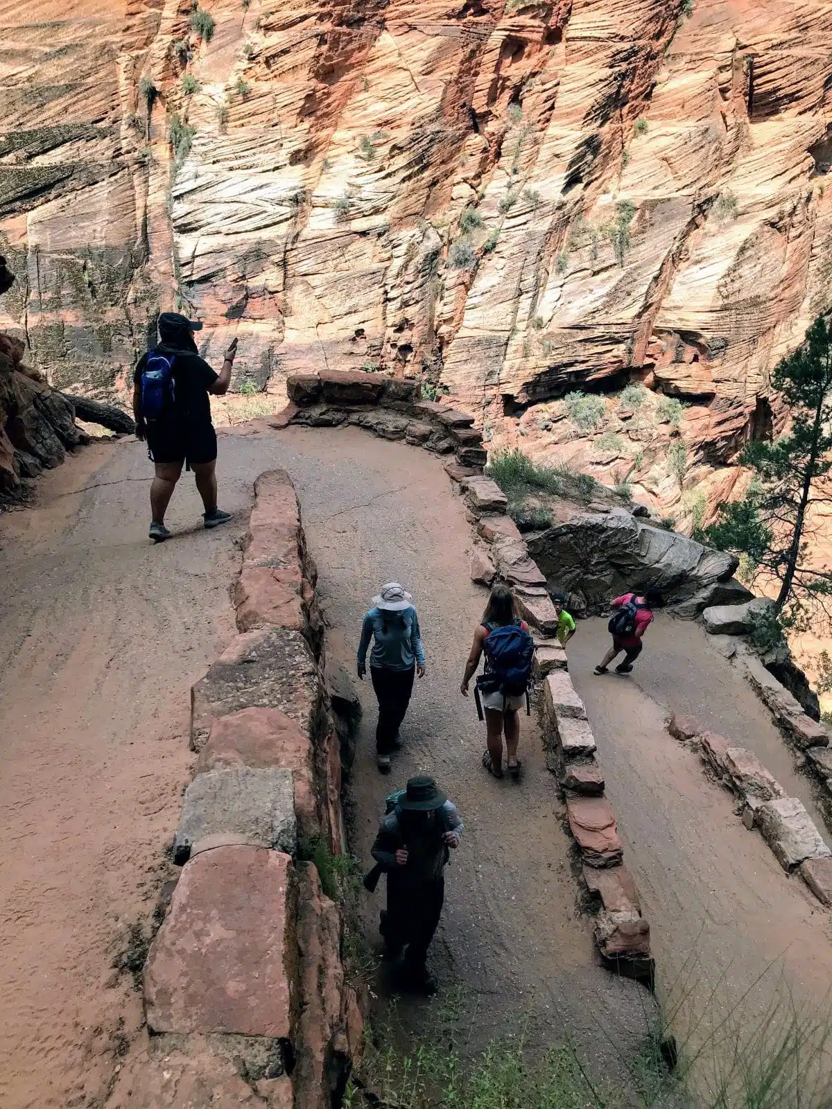 best hiking trails in zion national park, people hiking down switchback trail