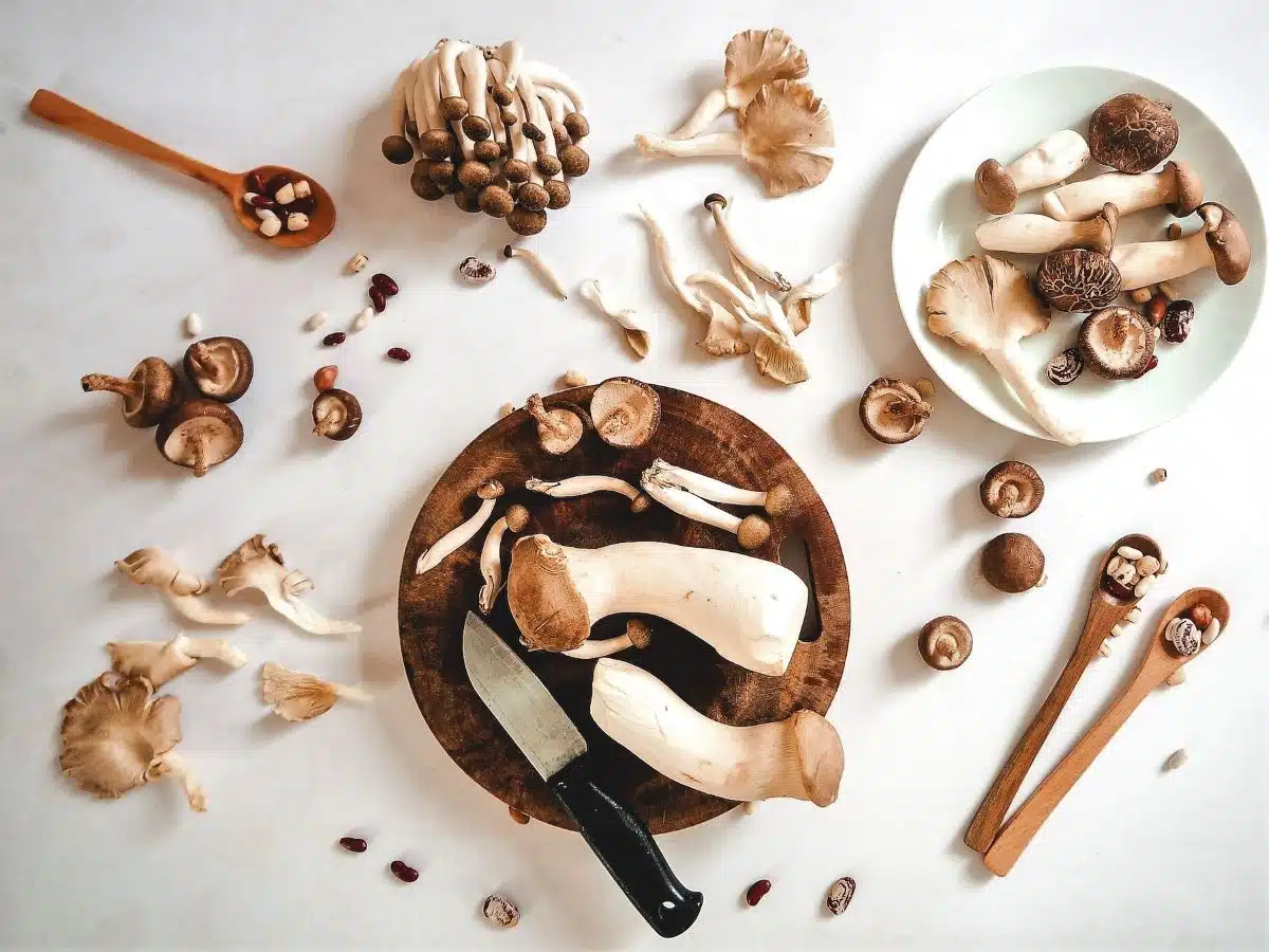 Different mushroom varieties on a plates and mini spoons.