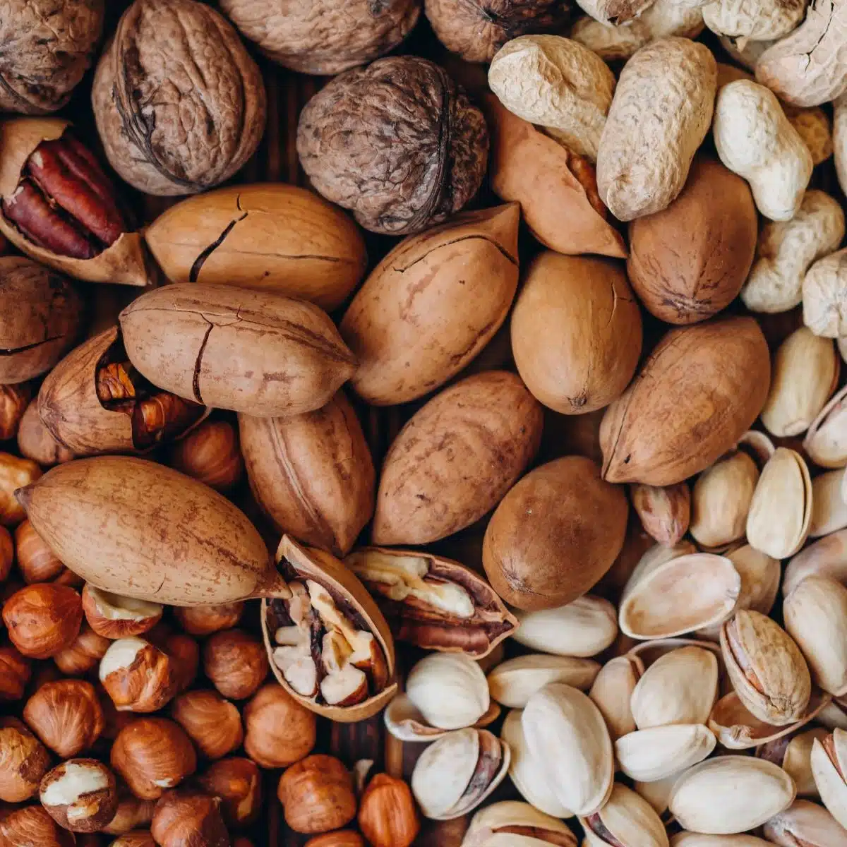 assorted nuts including hazelnuts, walnuts, and pecans.